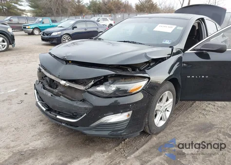 2019 Chevrolet Malibu 1Ls z USA, uszkodzony, nr VIN 1G1ZB5ST7KF205104
